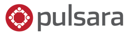 Pulsara_LogoTransparent_gray_600x169-2.png