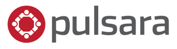 Pulsara_LogoTransparent_gray_600x169-2.png