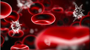 infection stop sepsis pulsara infection stop sepsis pulsara