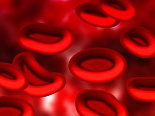 blood-75301_960_720.jpg