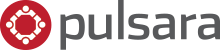 pulsara-logo.png