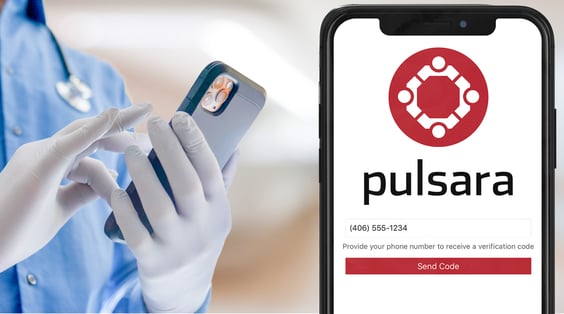 Pulsara Software Phishing and Security Risks in Telehealth and Video Communication