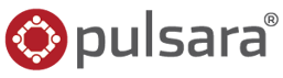 logo-pulsara-gray-300x84