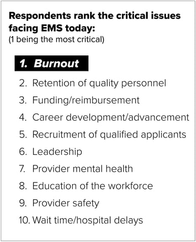 stat graphic ems issues ranked