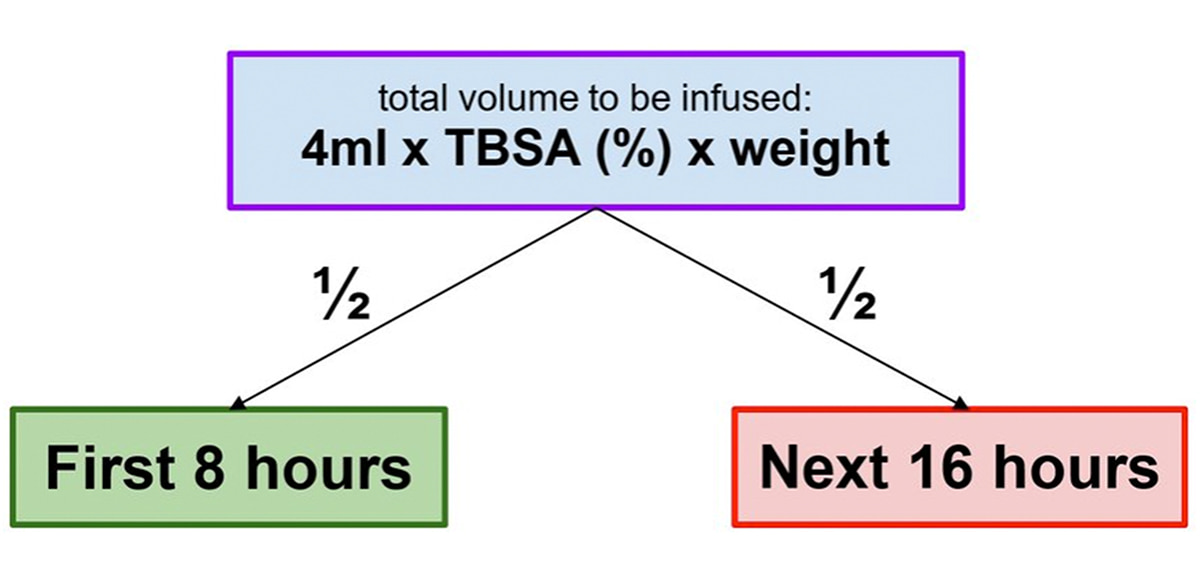 tbsa-estimation-chart@1200x580