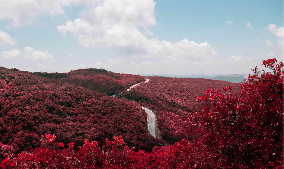 Nov. Blog