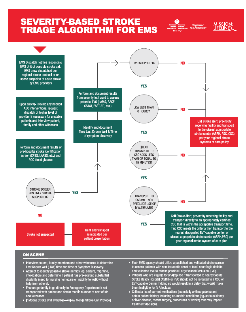 New Mission: Lifeline Stroke Documents for Prehospital LVO care -- What You Need to Know