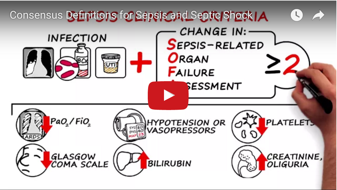 Consensus Definitions of Sepsis and Septic Shock: Agree to Disagree!