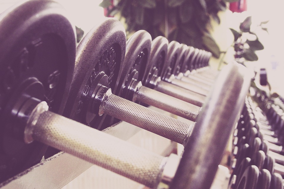 fitness-594143_960_720.jpg